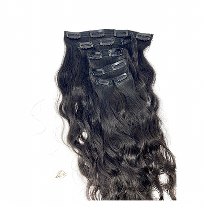 Raw Indian Natural Wave Clip-Ins